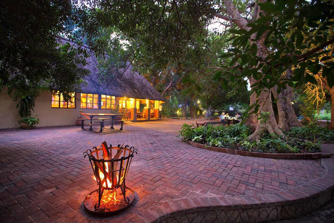 Island Safari Lodge Maun Esterno foto