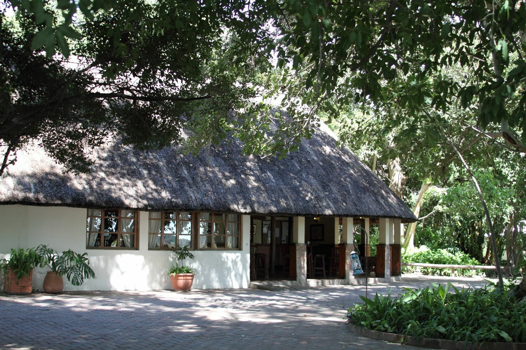 Island Safari Lodge Maun Esterno foto