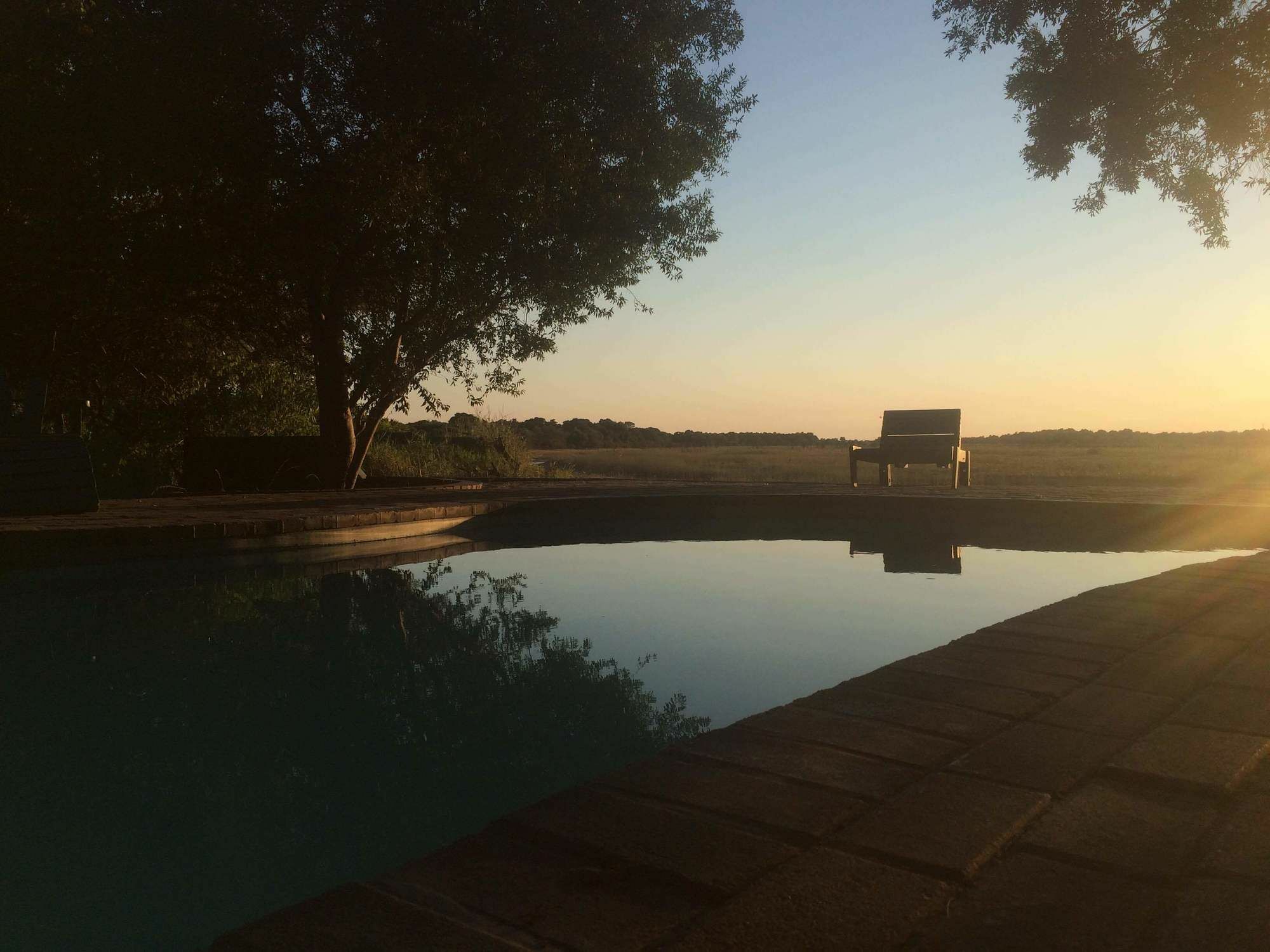 Island Safari Lodge Maun Esterno foto